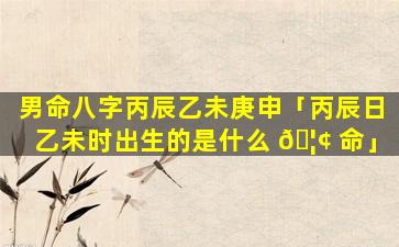 男命八字丙辰乙未庚申「丙辰日乙未时出生的是什么 🦢 命」